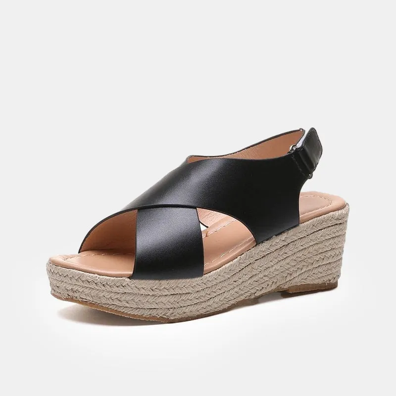 Celosia Chunky Wedges